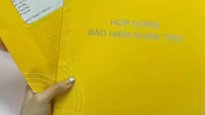 Các hãng bảo hiểm ghi nhận lãi tăng mạnh nhờ hoạt động tài chính
