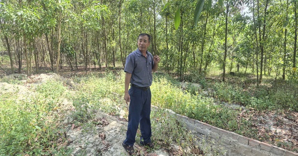 Cựu cán bộ xã xót xa khi mộ con bị di dời: Đà Nẵng giao thanh tra vào cuộc